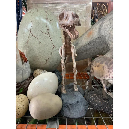 Baby T-Rex Dinosaur Skeleton On Base Life Size Statue LM Treasures - PT