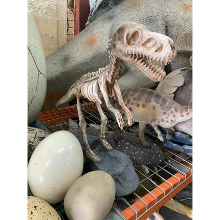 Baby T-Rex Dinosaur Skeleton On Base Life Size Statue LM Treasures - PT
