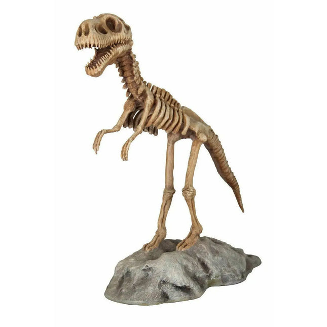 Baby T-Rex Dinosaur Skeleton On Base Life Size Statue LM Treasures - PT