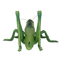 Grasshopper Insect Over Sized Statue - LM Treasures 