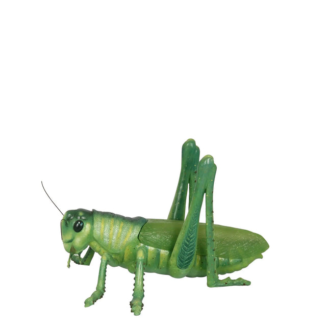 Grasshopper Insect Over Sized Statue LM Treasures - PT