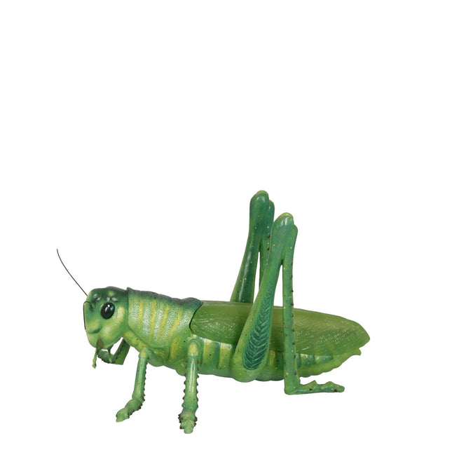 Grasshopper Insect Over Sized Statue - LM Treasures 