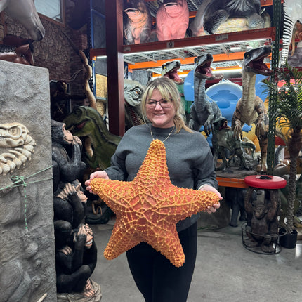 Comic Cushion Starfish Statue LM Treasures - PT
