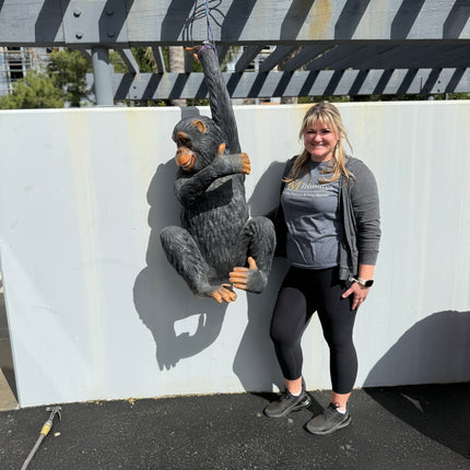 Monkey Chimpanzee Bing Life Size Statue