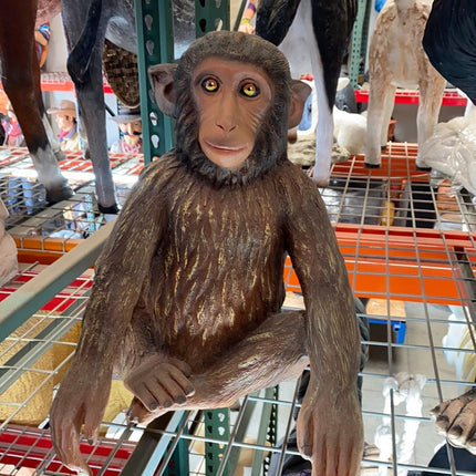 Monkey Hunky Chimpanzee Life Size Statue