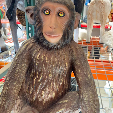 Monkey Hunky Chimpanzee Life Size Statue
