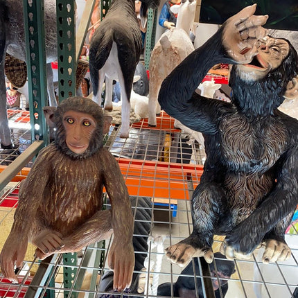 Monkey Hunky Chimpanzee Life Size Statue