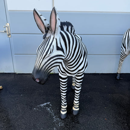 Zebra Life Size Statue
