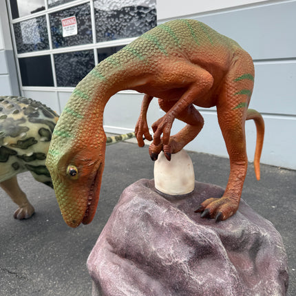 Compsognathus Dinosaur On Rock Life Size Statue