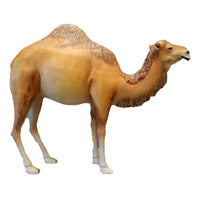 Dromedary Camel Life Size Statue - LM Treasures 