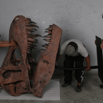 Jumbo T-Rex Skull On Base Life Size Statue