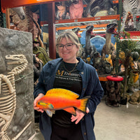 Orange Fish Statue