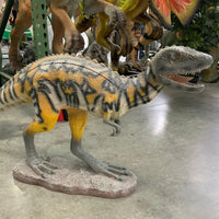 Small Australovenator Dinosaur Life Size Statue - LM Treasures 