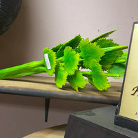 Celery Over Sized Vegetable Statue - LM Treasures 
