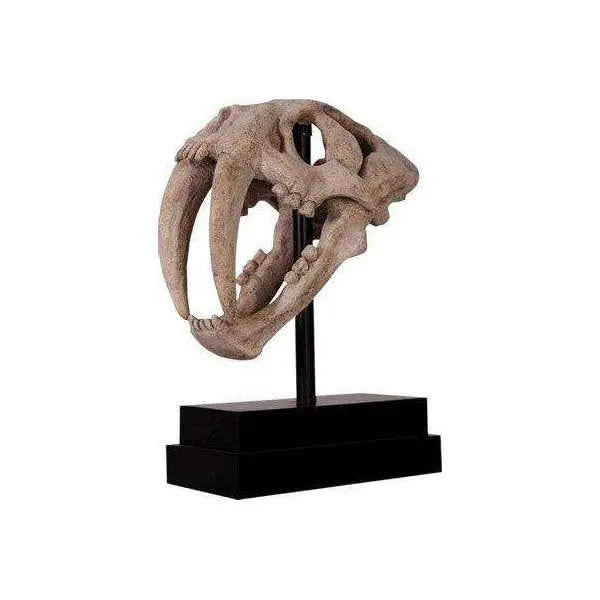 Saber Tooth Tiger Skull Life Size Statue LM Treasures - H