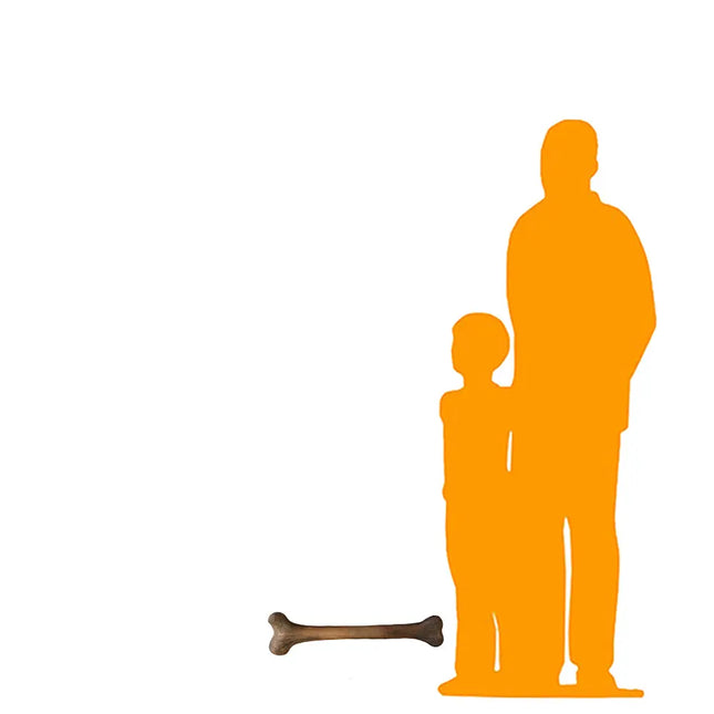 Small Dinosaur Bone Life Size Statue LM Treasures - PT