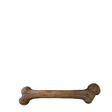 Large Dinosaur Bone Life Size Statue LM Treasures - PT