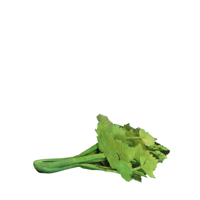 Celery Over Sized Vegetable Statue LM Treasures - PT