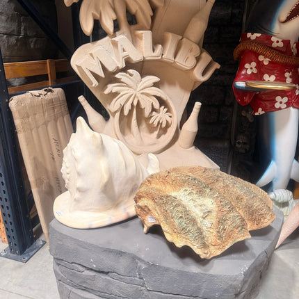 Helmet Shell Life Size Statue LM Treasures - H