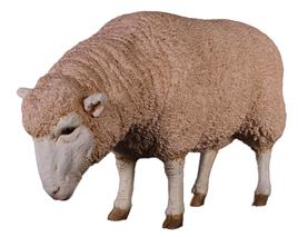 Merino Ewe Head Down Life Size Statue - LM Treasures 