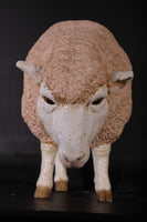 Merino Ewe Head Down Life Size Statue - LM Treasures 