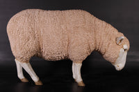 Merino Ewe Head Down Life Size Statue - LM Treasures 