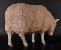 Merino Ewe Head Down Life Size Statue - LM Treasures 