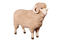 Merino Ram Life Size Statue - LM Treasures 