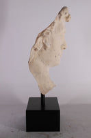 Stone David Head Life Size Statue - LM Treasures 