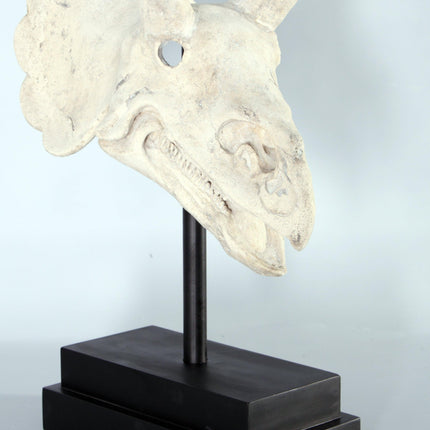 Triceratops Dinosaur Skull Statue - LM Treasures 