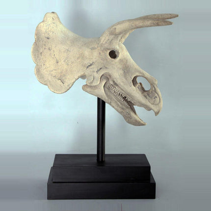 Triceratops Dinosaur Skull Statue - LM Treasures 