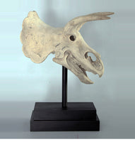 Triceratops Dinosaur Skull Statue - LM Treasures 