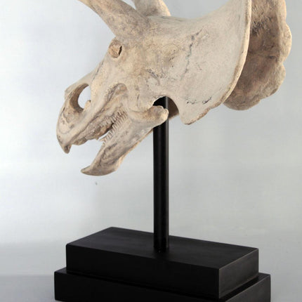 Triceratops Dinosaur Skull Statue - LM Treasures 