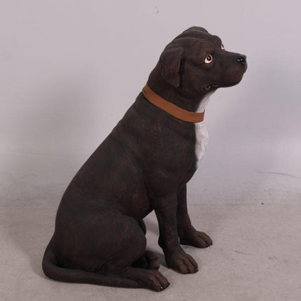 English Staffordshire Life Size Statue - LM Treasures 
