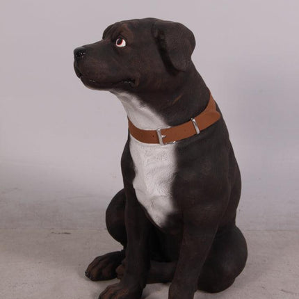 English Staffordshire Life Size Statue - LM Treasures 