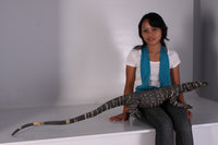 Lace Monitor Life Size Statue - LM Treasures 