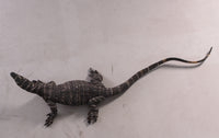 Lace Monitor Life Size Statue - LM Treasures 
