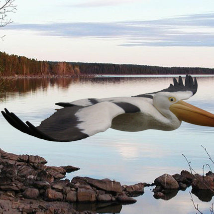 Pelican Flying Life Size Statue - LM Treasures 