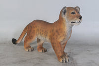 Standing Lion Cub Life Size Statue - LM Treasures 
