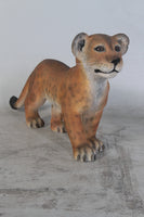 Standing Lion Cub Life Size Statue - LM Treasures 