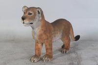 Standing Lion Cub Life Size Statue - LM Treasures 