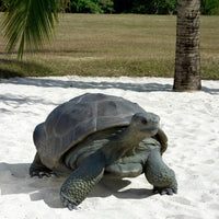 Galapagos Tortoise Over Sized Statue - LM Treasures 