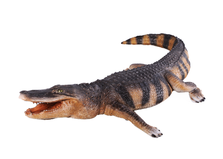 American Alligator Life Size Statue - LM Treasures 