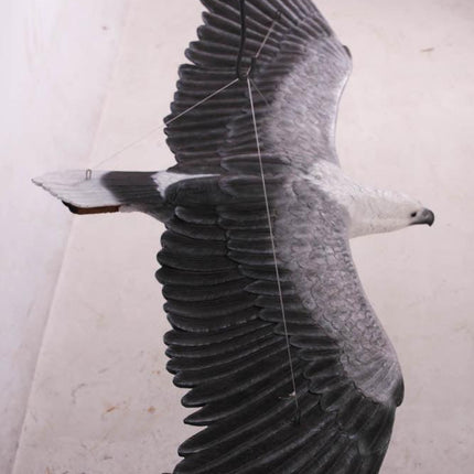 White Breasted Eagle Life Size Statue - LM Treasures 