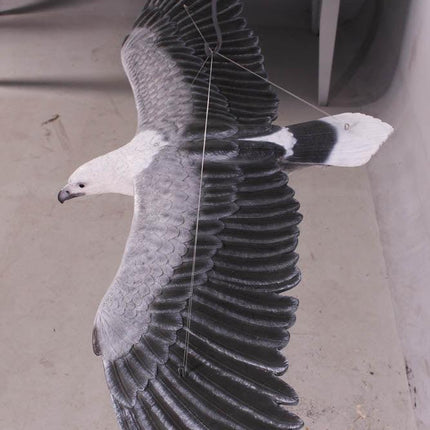 White Breasted Eagle Life Size Statue - LM Treasures 