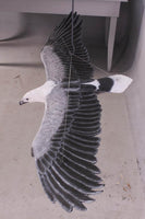 White Breasted Eagle Life Size Statue - LM Treasures 