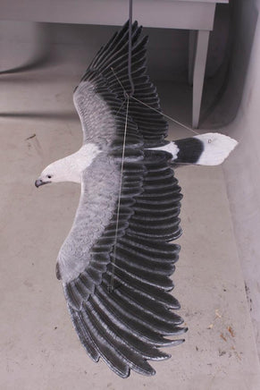 White Breasted Eagle Life Size Statue - LM Treasures 