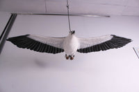 White Breasted Eagle Life Size Statue - LM Treasures 