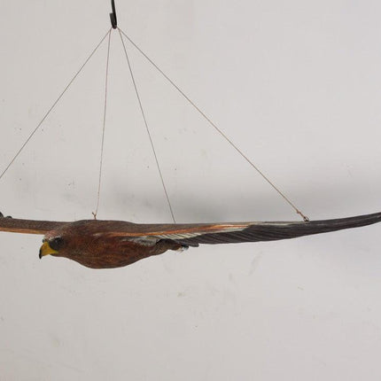 Wedge Tailed Eagle Life Size Statue - LM Treasures 