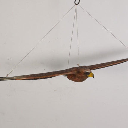 Wedge Tailed Eagle Life Size Statue - LM Treasures 